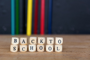 CVMS Correspondent Mid-Summer Update