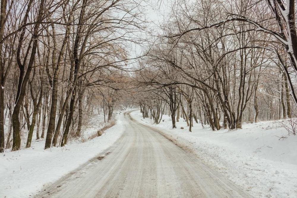 Updated Emergency Snow Routes